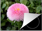 KitchenYeah® Inductie beschermer 75x52 cm - Roze Madelief - Kookplaataccessoires - Afdekplaat voor kookplaat - Inductiebeschermer - Inductiemat - Inductieplaat mat