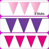 3 maal Vlaggenlijn  Paars / Pink/ Licht Roze, 30 meter totaal, Verjaardag, Sweet Sixteen, Themafeest