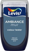 Levis Ambiance Mur Colour Tester - 30ML - 6717 - Orkaan
