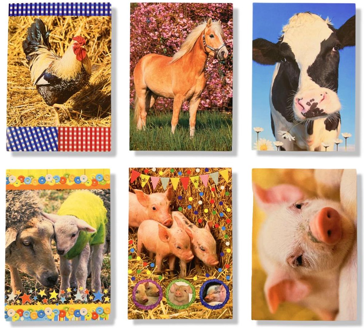 6 Cards & Crafts Blanco Boerderijdieren Wenskaarten | 12x17cm gevouwen kaarten zonder tekst Inclusief enveloppen