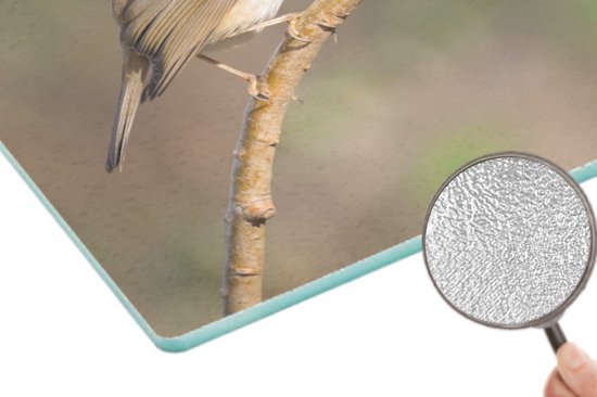 Planche à découper en Verres - 39x28 - Rouge-gorge - Vogel - Nature - Planches à découper en Glas