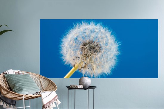 Stickers Stickers muraux - Pissenlit - Bloem - Terrasse - 120x60 cm - Film adhésif