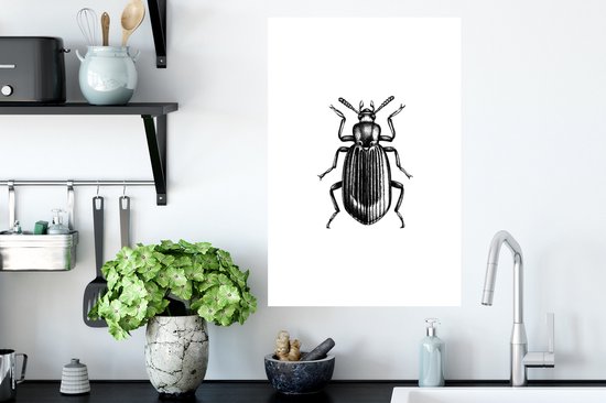 Stickers muraux - Scarabée - Animaux - Vintage - 40x60 cm - Film adhésif