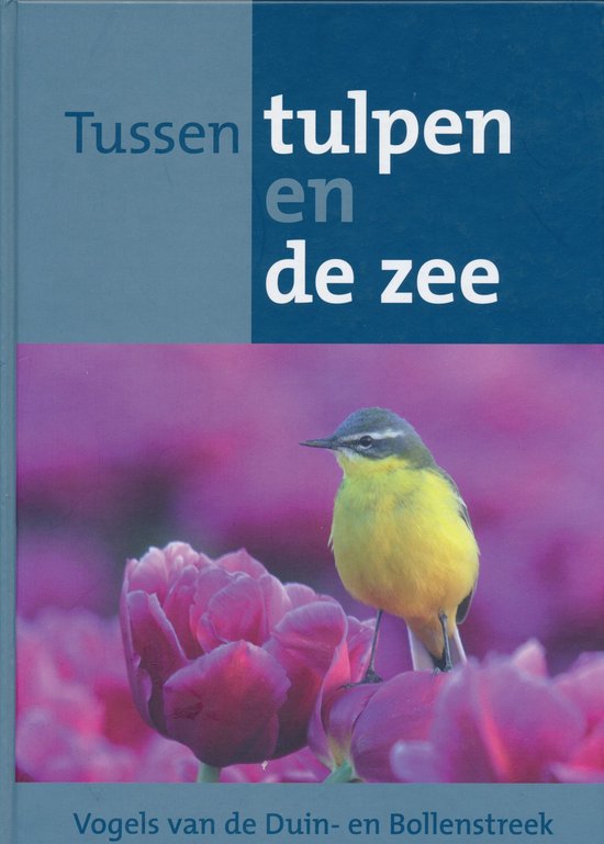 Omslag van Tussen tulpen en de zee door Peter Spierenburg