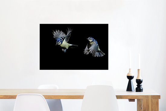 Poster Flycatchers sur fond noir papier 60x40 cm - Tirage photo sur Poster (décoration murale salon / chambre) / Poster Animaux sauvages