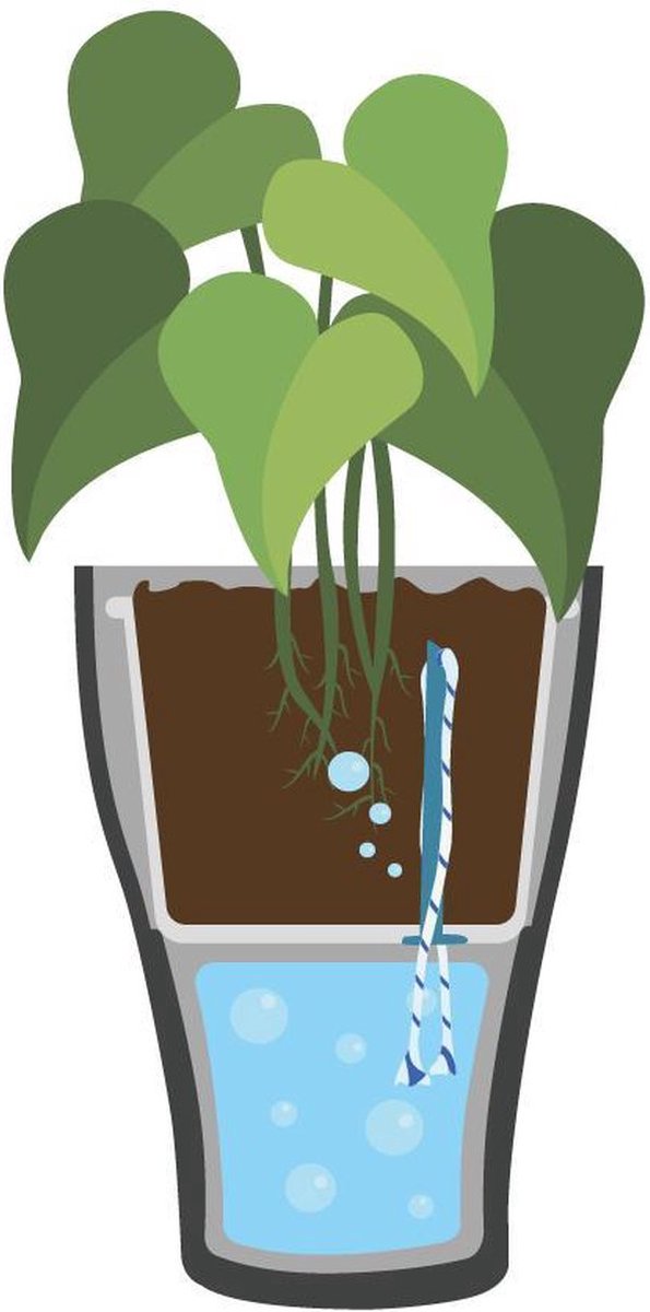 Ferrarium waterwicks 3 stuks - potplant bewatering - onderhoud plant - plant bewateren - automatisch plant wateren - waterlont - lont voor bewatering