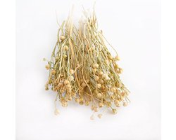 Tuana Kruiden - Üzerlik Otu - Syrische Wijnruit - 50 G - Tuanashop - TUTHEE092