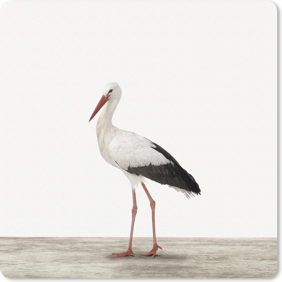 Muismat 30x30 cm - Mousepad Ooievaar - Vogel - Dieren - Jongens - Kinderen - Meisjes - Muismatten