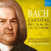 Christoph Spering - Bach Cantatas (CD)