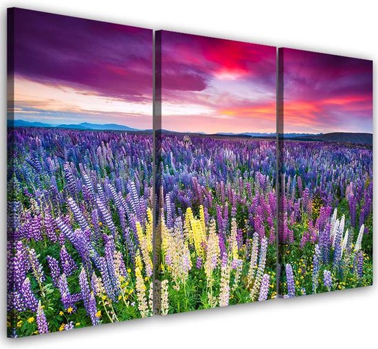 Trend24 - Peinture sur toile - Prairie fleurie - Triptyque - Paysages - 120x80x2 cm - Violet