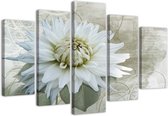 Trend24 - Canvas Schilderij - White Flower - Vijfluik - Bloemen - 200x100x2 cm - Beige