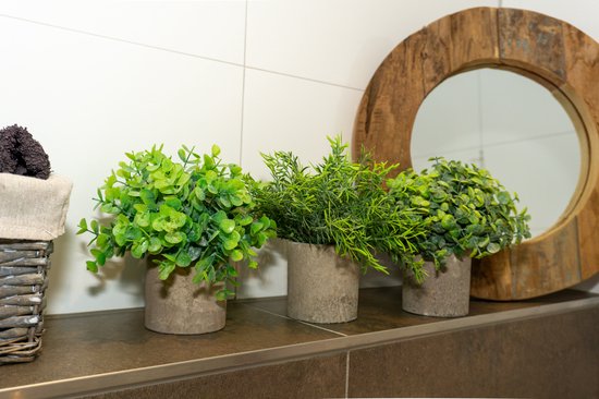 Kunstplanten in pot - Set van 3 stuks met houten dienblad - Kunstplanten voor binnen - 12x20 cm - Decoratie
