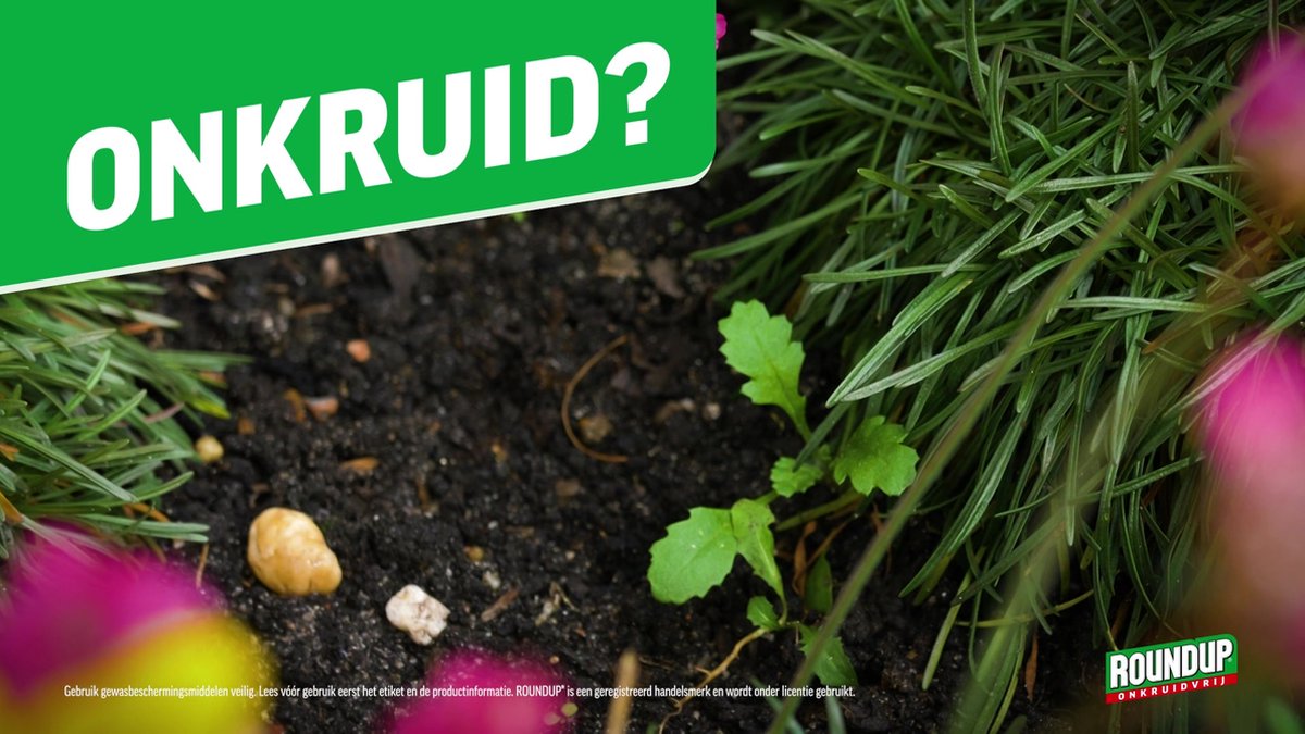Azijnzuur 5 liter, 80% (=verdund met water 50liter schoonmaakazijn 8