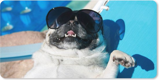 Foto: Muismat xxl 100x50 cm bureau onderlegger bureau mat hond grappig zonnebril kinderen jongens meisjes kindje bureaumat gaming mousepad xl bureaulegger groot computer deskmat