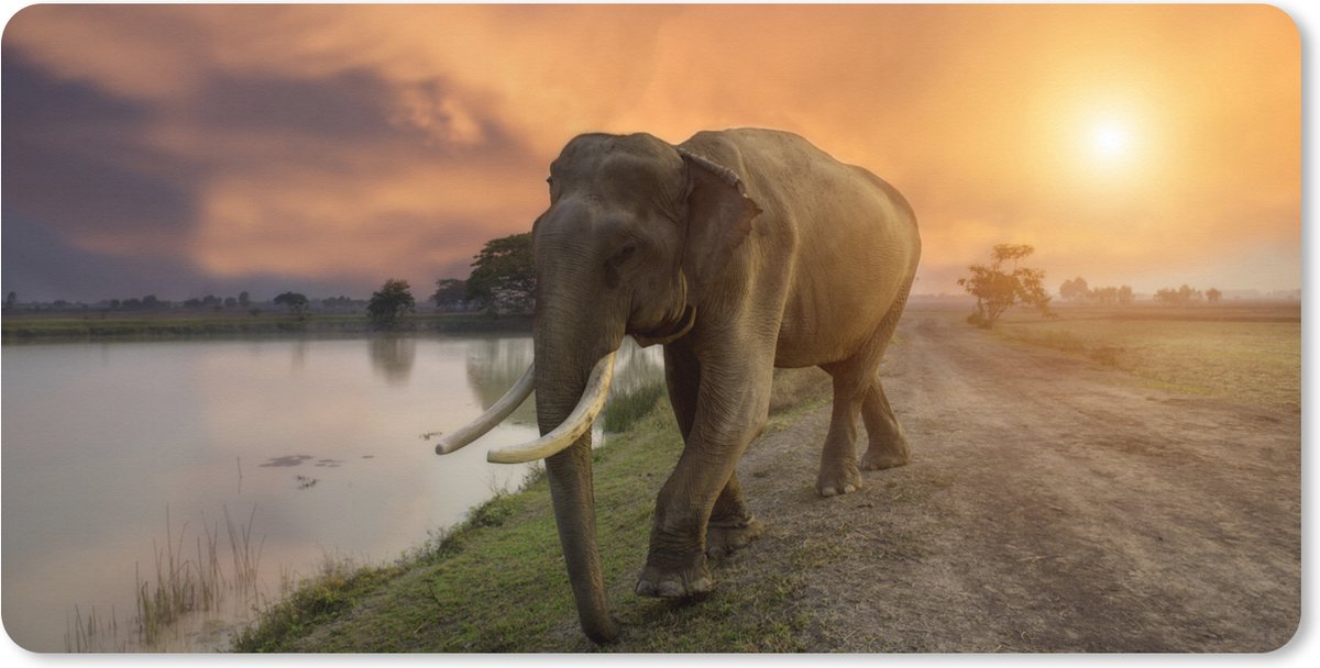 Muismat XXL 90x45 cm - Bureau onderlegger - Bureau mat Olifant - Water - Dieren - Zonsondergang - Natuur - Bureaumat - Gaming mousepad xl - Bureaulegger groot - Computer deskmat