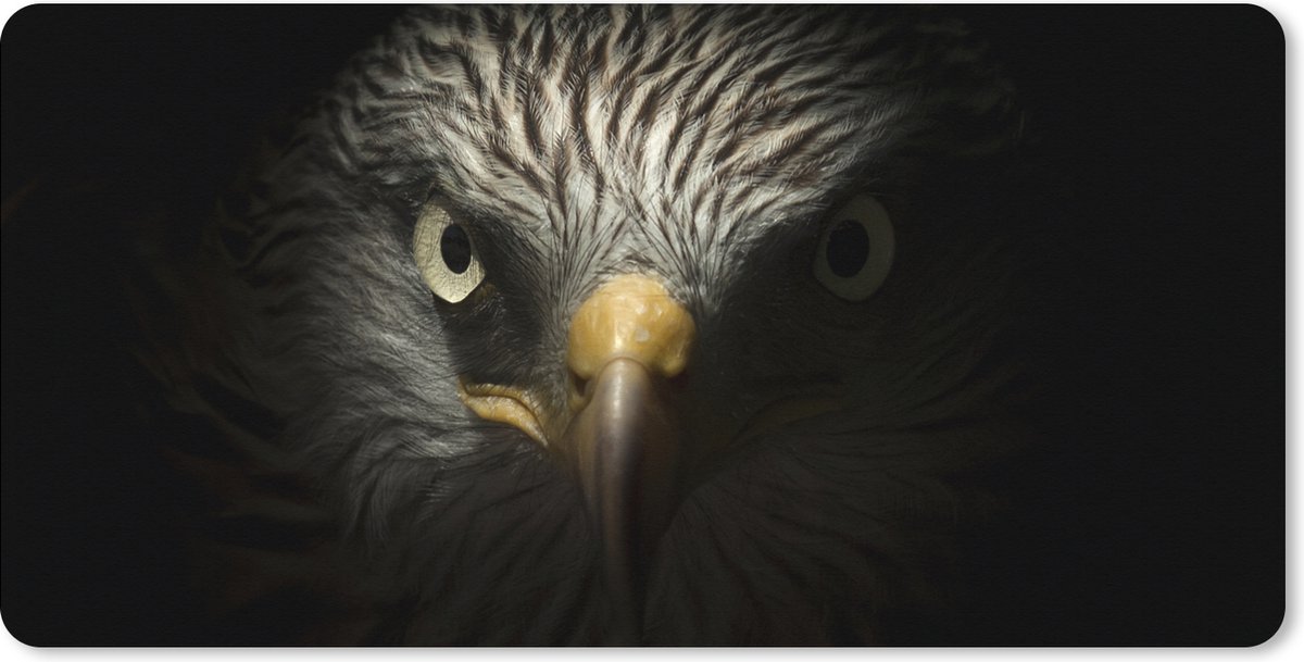 Muismat XXL 120x60 cm - Bureau onderlegger - Bureau mat Vogel - Adelaar - Roofvogels - Oog - Snavel - Licht - Bureaumat - Gaming mousepad xl - Bureaulegger groot - Computer deskmat