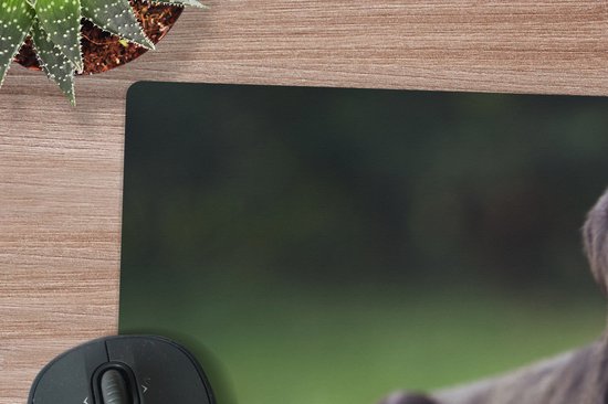Muismat XXL 80x40 cm - Bureau onderlegger - Bureau mat Een zwarte labrador in het gras - Bureaumat - Gaming mousepad xl - Bureaulegger groot - Computer deskmat