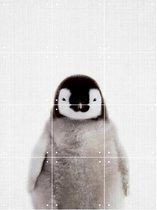 IXXI Print 362 Pinguin - Wanddecoratie - Dieren en insecten - 60 x 80 cm