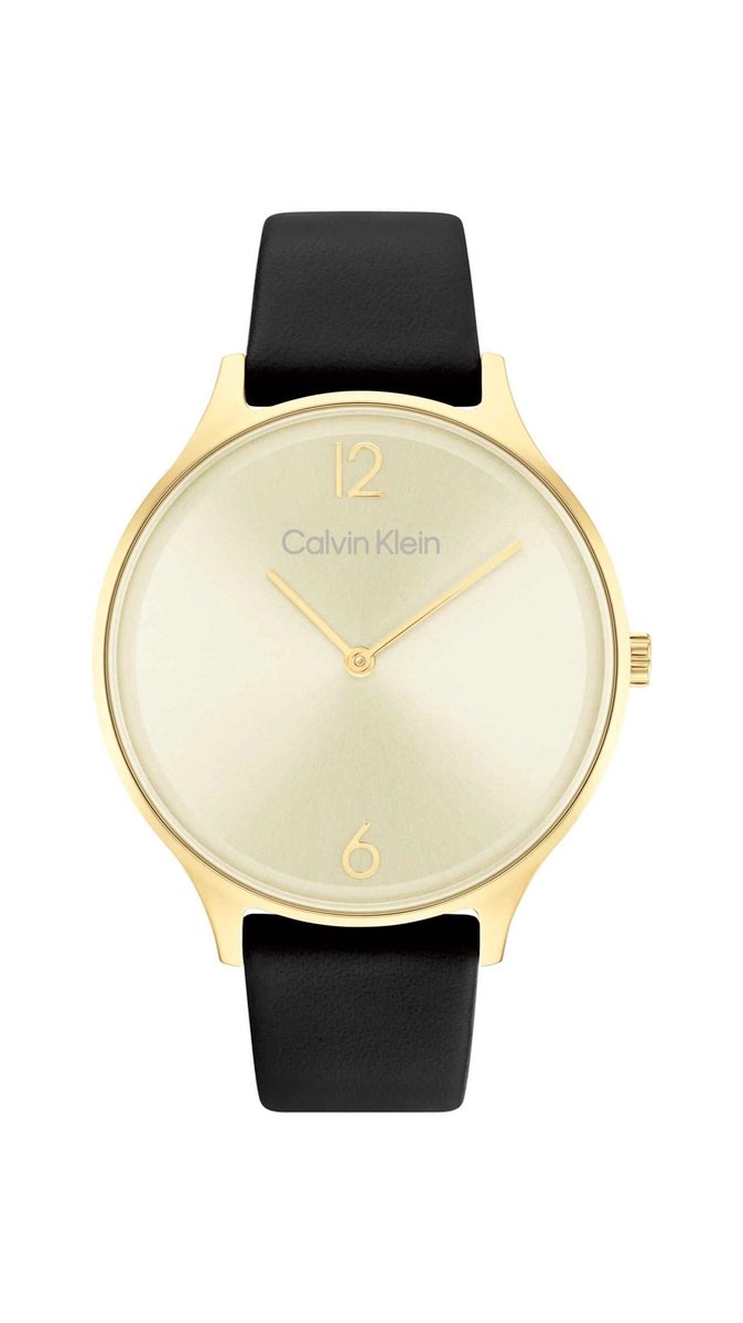 Calvin Klein CK25200008 Dames Horloge