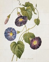 IXXI Cypress vine - Wanddecoratie - Bloemen en Planten - 80 x 100 cm