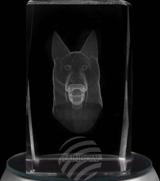 bloc de verre cristal carré thème: chien couleur transparent