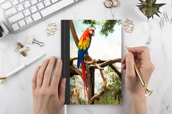 Carnet - Cahier d'écriture - Perroquet - Vogel - Arc-en-ciel - Tropical - Carnet - Taille A5 - Bloc-notes
