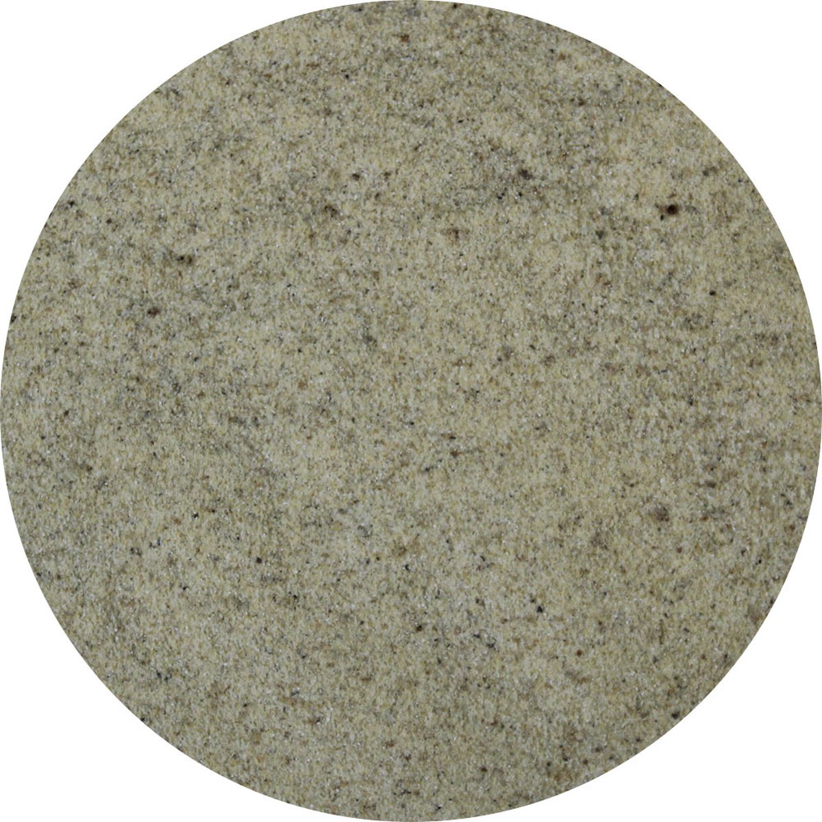 Goedkoopste Van Beekum Specerijen - Frikandellen Kruidenmix - 20 KG - Zak (bulk verpakking