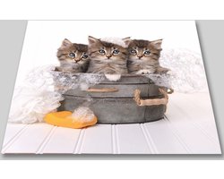 Papillon Wasmachine Beschermer - Antislip mat - 60x60 cm - Papillon Poesjes