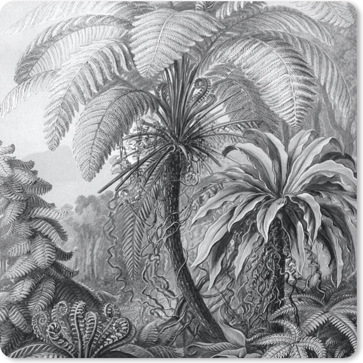 Muismat 20x20 cm - Mousepad Planten - Zwart wit - Design - Illustratie - Botanisch - Muismatten