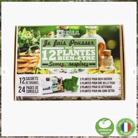 SAFLAX - Geneeskrachtige Planten - Ogentroost - 200 Zaden - Euphrasia officinalis SAFLAX - Geneeskrachtige Planten - Ogentroost - 200 Zaden - Euphrasia officinalis