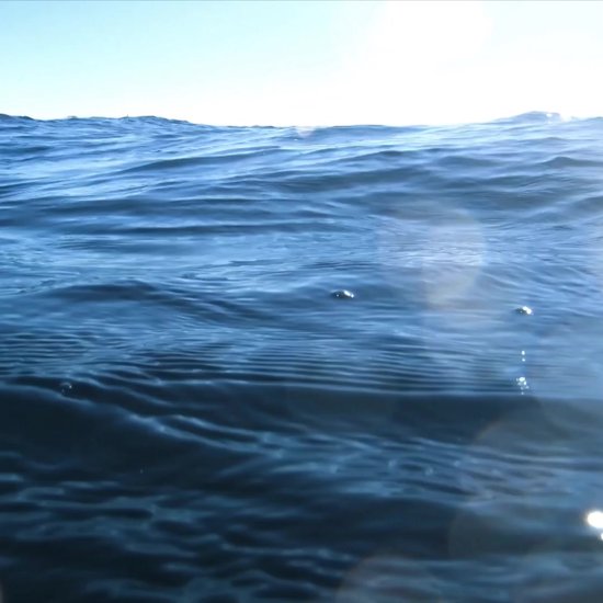 Rashguard – design Power Up - Dry Fit - Haute Performance - 4way stretch - impression unique - UV 38/40 - Running - Yoga - Fitness - Danse - Pilates - Training - Shirt Long Sleeve - dames - warm red black - taille 2XL