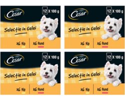 4x Cesar Maaltijdzakje Adult In Gelei Multipack - Hondenvoeding - 12x100g
