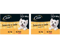 2x Cesar Maaltijdzakje Adult In Gelei Multipack - Hondenvoeding - 12x100g