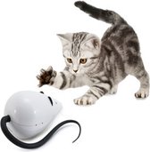 Katten poezen  speelgoed kat poes beweegbare muis
