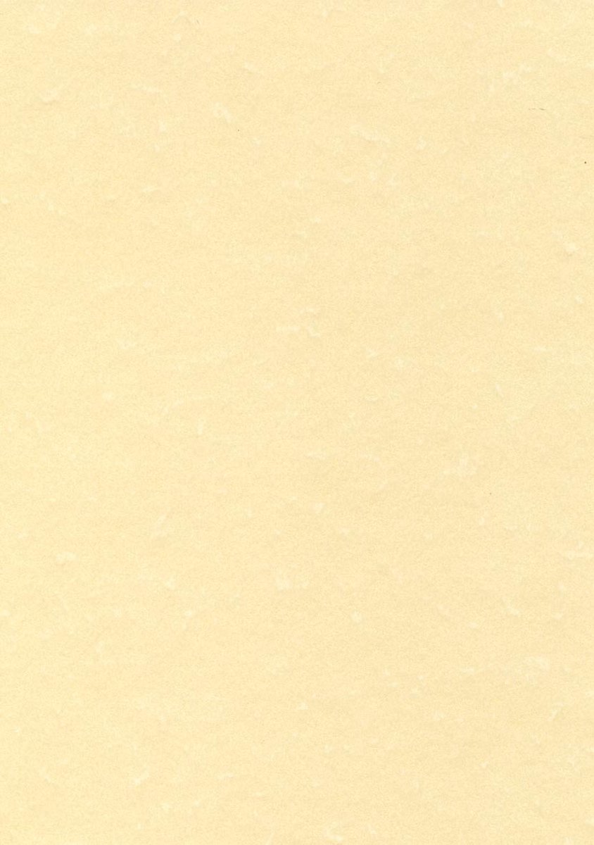 THEMA A4 CHAMPAGNE 165G 50V