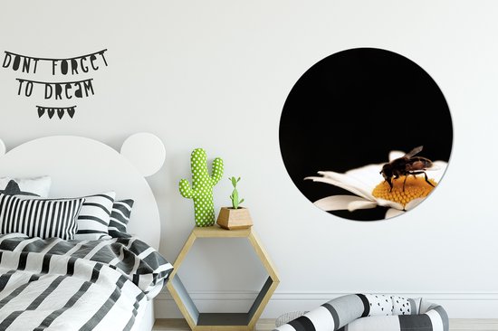 Assiette en Plastique Cercle à Boire Abeille Miel ⌀ 90 cm - Tirage Photo sur Cercle Mural / Cercle Vivant (Décoration Murale)