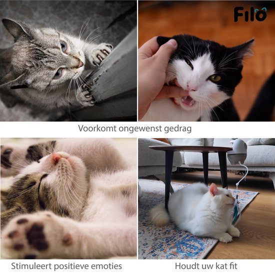 Katten die krabben, bijten en slapen. Stimuleert positieve emoties en houdt uw kat fit.