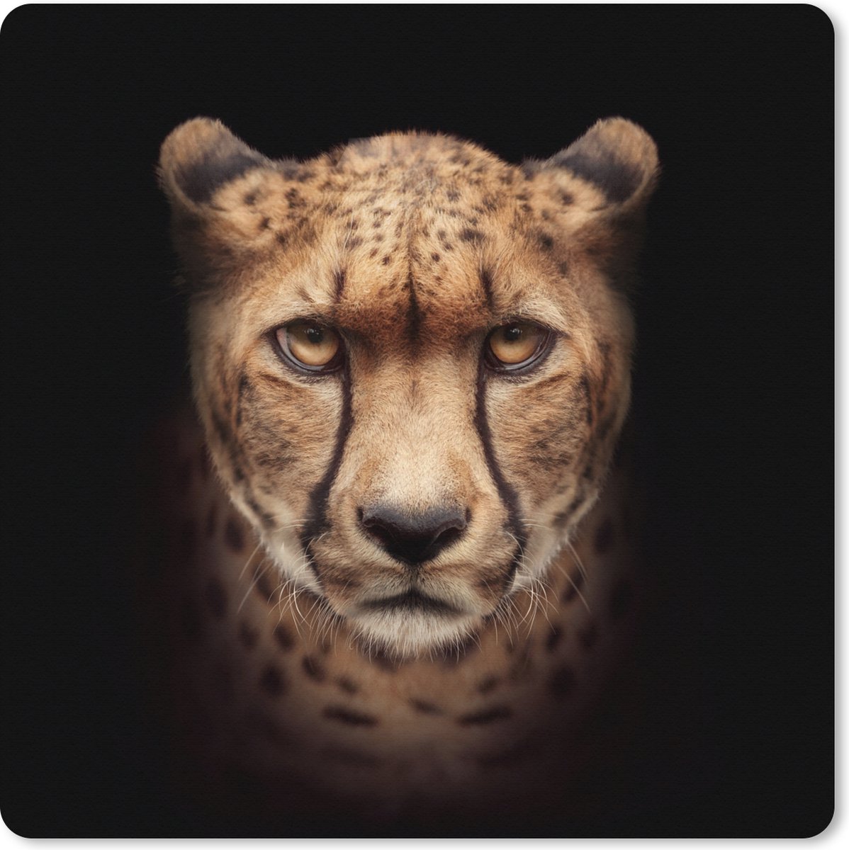 Muismat XXL 60x60 cm - Bureau onderlegger - Bureau mat Cheetah - Dieren - Zwart - Bureaumat - Gaming mousepad xl - Bureaulegger groot - Computer deskmat
