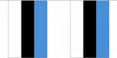 Ligne de drapeau de luxe Estonie 9 m