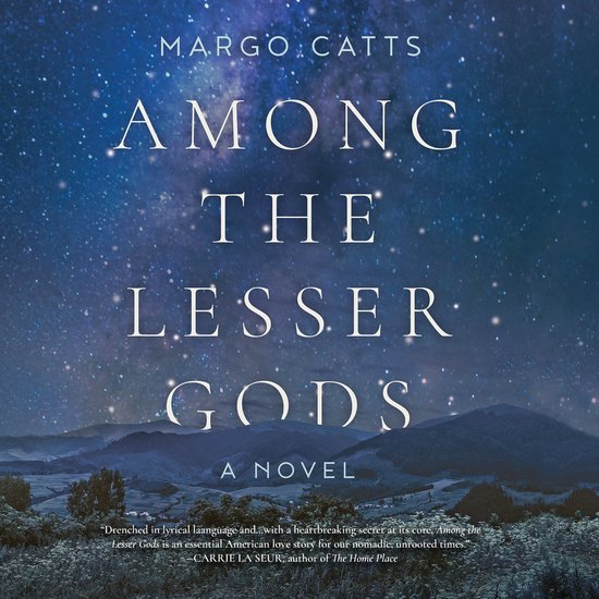 Among the Lesser Gods - cover