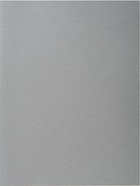 Exacompta dossiermap ROCK  S 80, ft 22 x 31 cm, pak van 100, grijs