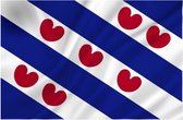 Luxe vlag Friesland/Fryslan 70 x 100 cm - Vlaggenmast vlaggen - Friese vlag voor buiten - Friesland feestartikelen