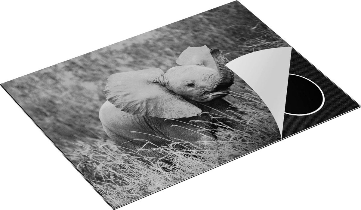 Chefcare Inductie Beschermer Olifanten Baby in het Gras - Olifant - Zwart Wit - 70x55 cm - Afdekplaat Inductie - Kookplaat Beschermer - Inductie Mat