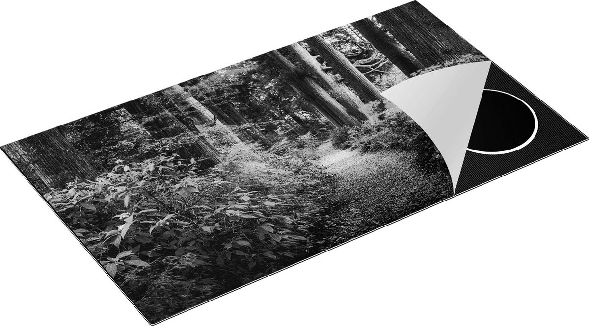 KitchyMist Inductie Beschermer Voetpad in het Bos - Zwart Wit - 91,6x52,7 cm - Afdekplaat Inductie - Kookplaat Beschermer - Inductie Mat