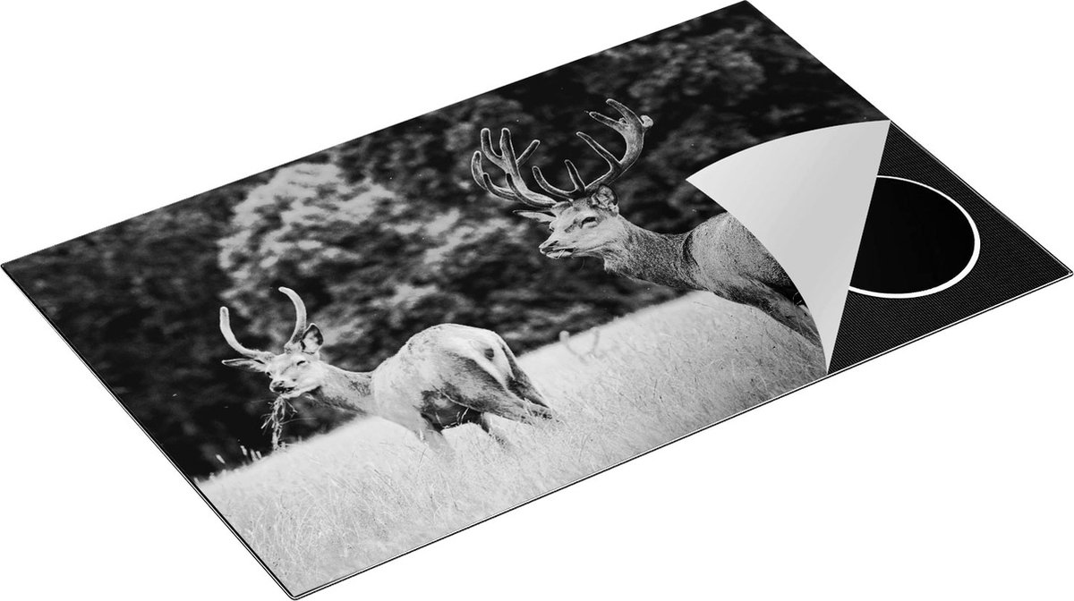 Chefcare Inductie Beschermer Twee Etende Herten in de Weide - Zwart Wit - 85x55 cm - Afdekplaat Inductie - Kookplaat Beschermer - Inductie Mat