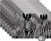 Placemats - Dieren - Zebra - Zwart - Wit - Safari - Eettafel - Onderlegger - 45x30 cm - 6 stuks