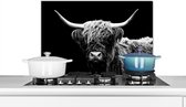 Spatscherm - Schotse Hooglander - Koe - Zwart - Spatscherm keuken - Keuken achterwand - 60x40 cm - Kookplaat achterwand - Spatwand - Muurbeschermer