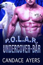 POLAR 4 - Undercover-Bär