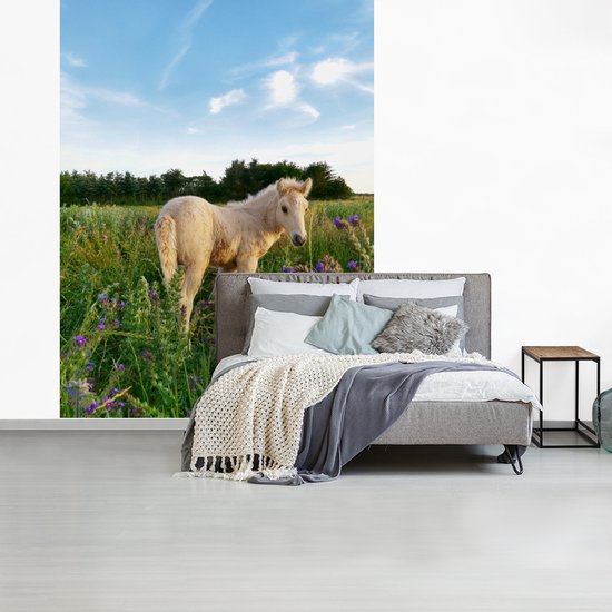 Poulain dans les hautes herbes 160x220 cm