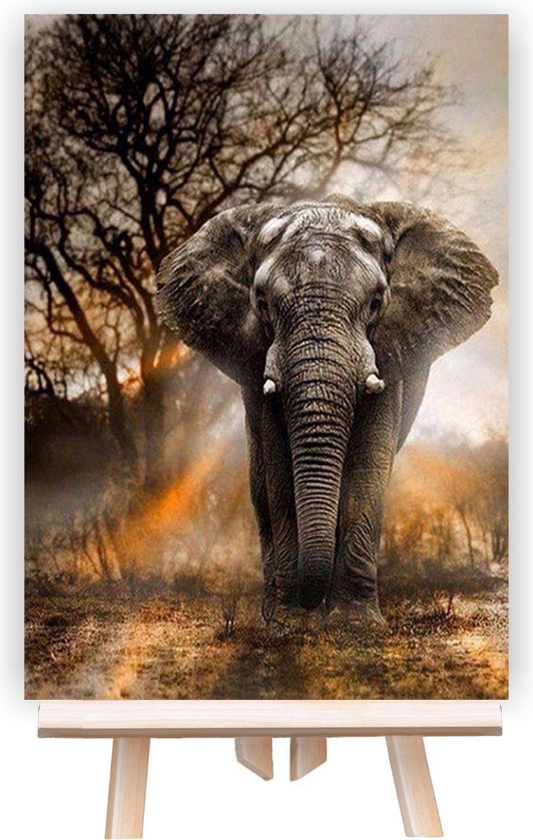 Schilderen Op Nummer Volwassenen - Do It Yourself Paintings - Mighty Elephant - Olifant - Landschap - Zon - Afrika - 40x50 cm - Canvas